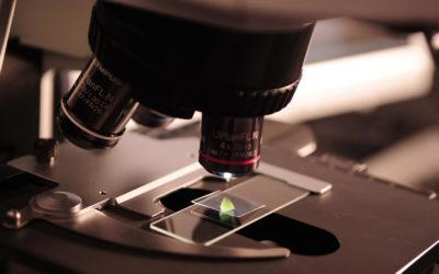 Gene Therapy: International Regulatory and Health Technology Assessment (HTA) Activities and Reimbursement Status